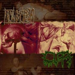 Cuff : Cuff - Fecal Bacteria